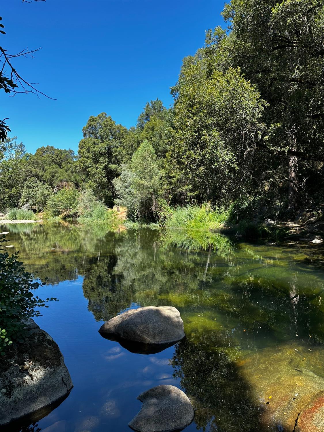 River Trail, River Pines, California image 2