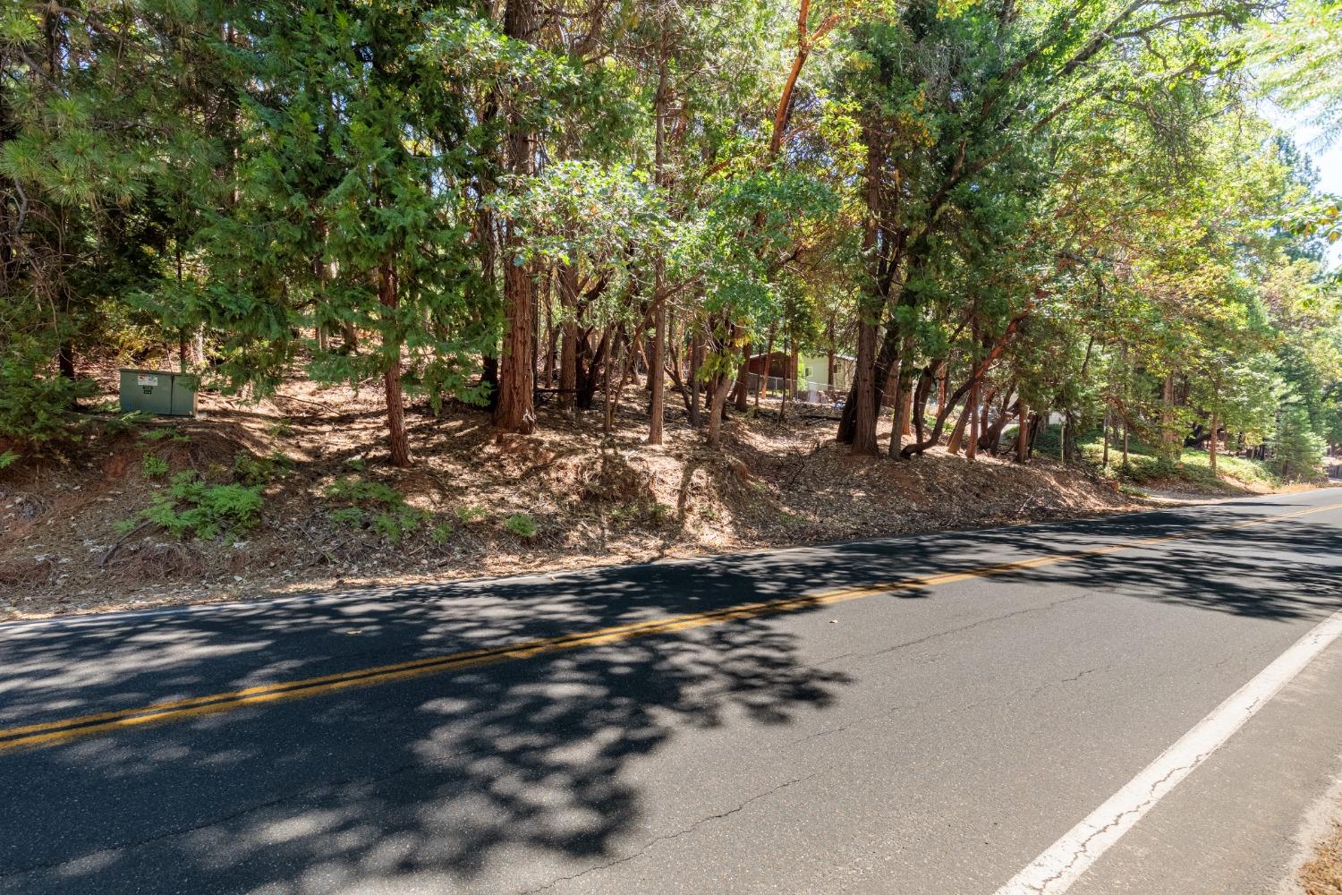 Photo of 27335 Silver Dr in Pioneer, CA