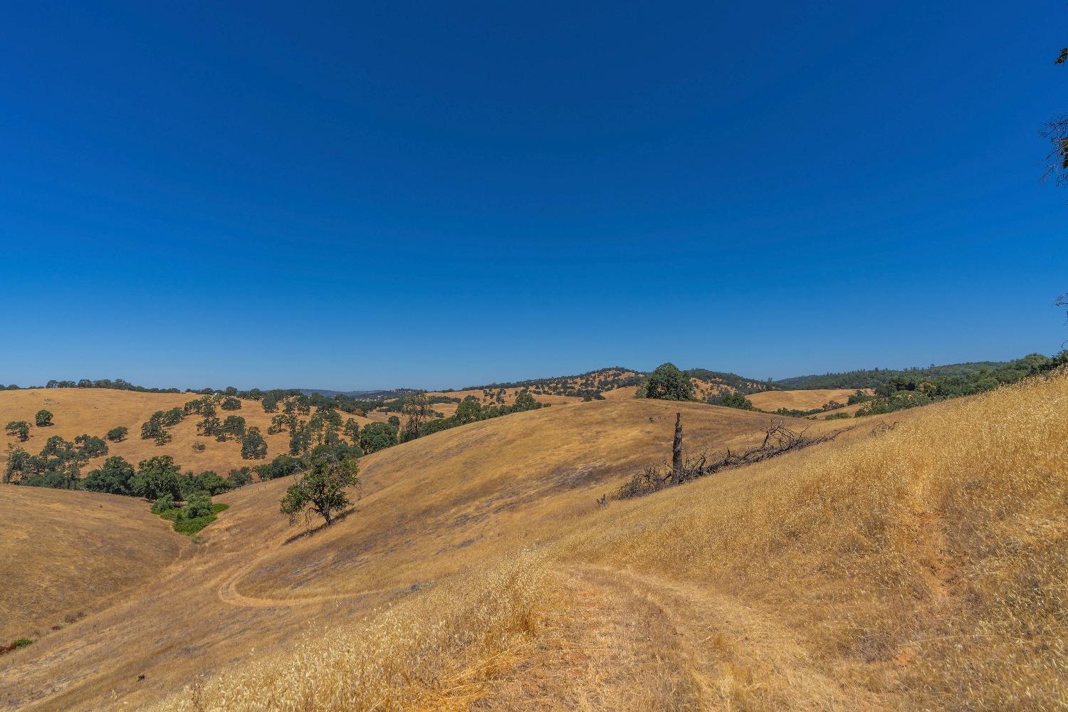 Turner Road, Amador City, California image 33