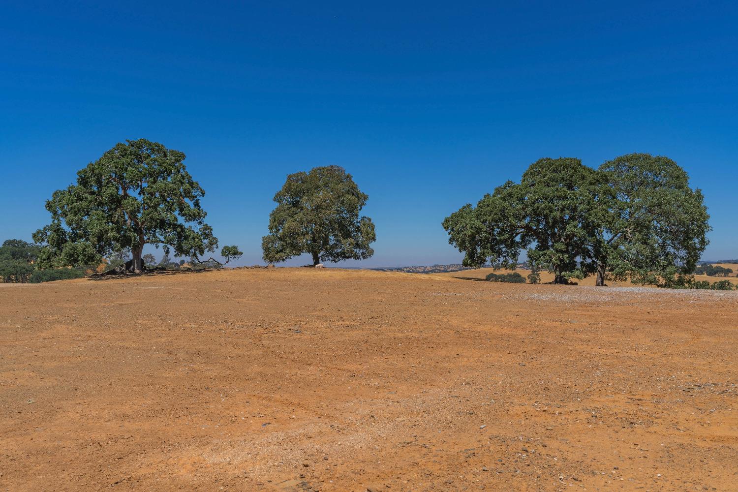 Turner Road, Amador City, California image 5