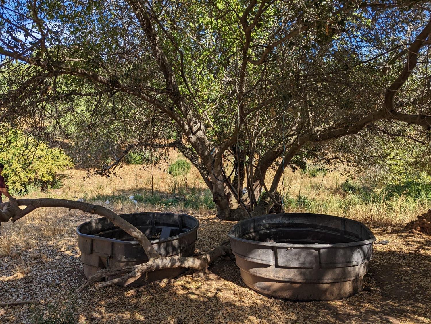 Photo of Long Bar in Oroville, CA