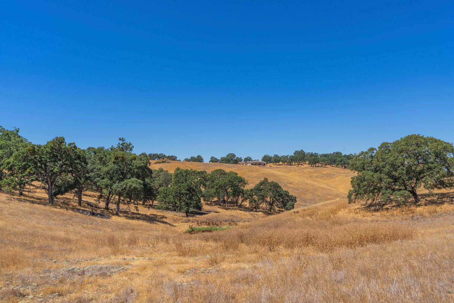 Turner Road, Amador City, California image 18