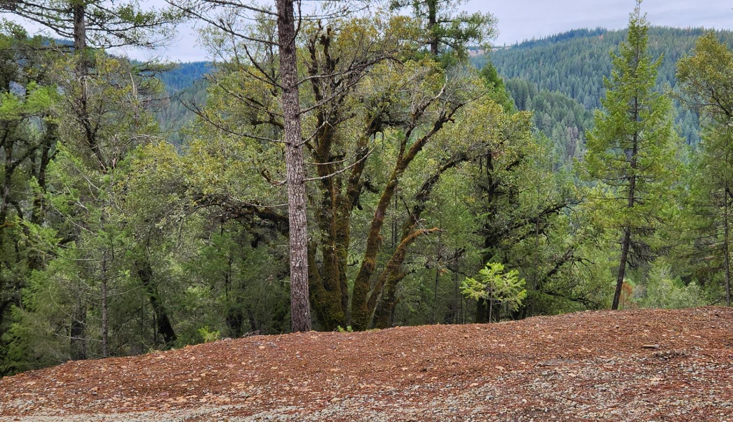 Relief Hill Road, Nevada City, California image 3