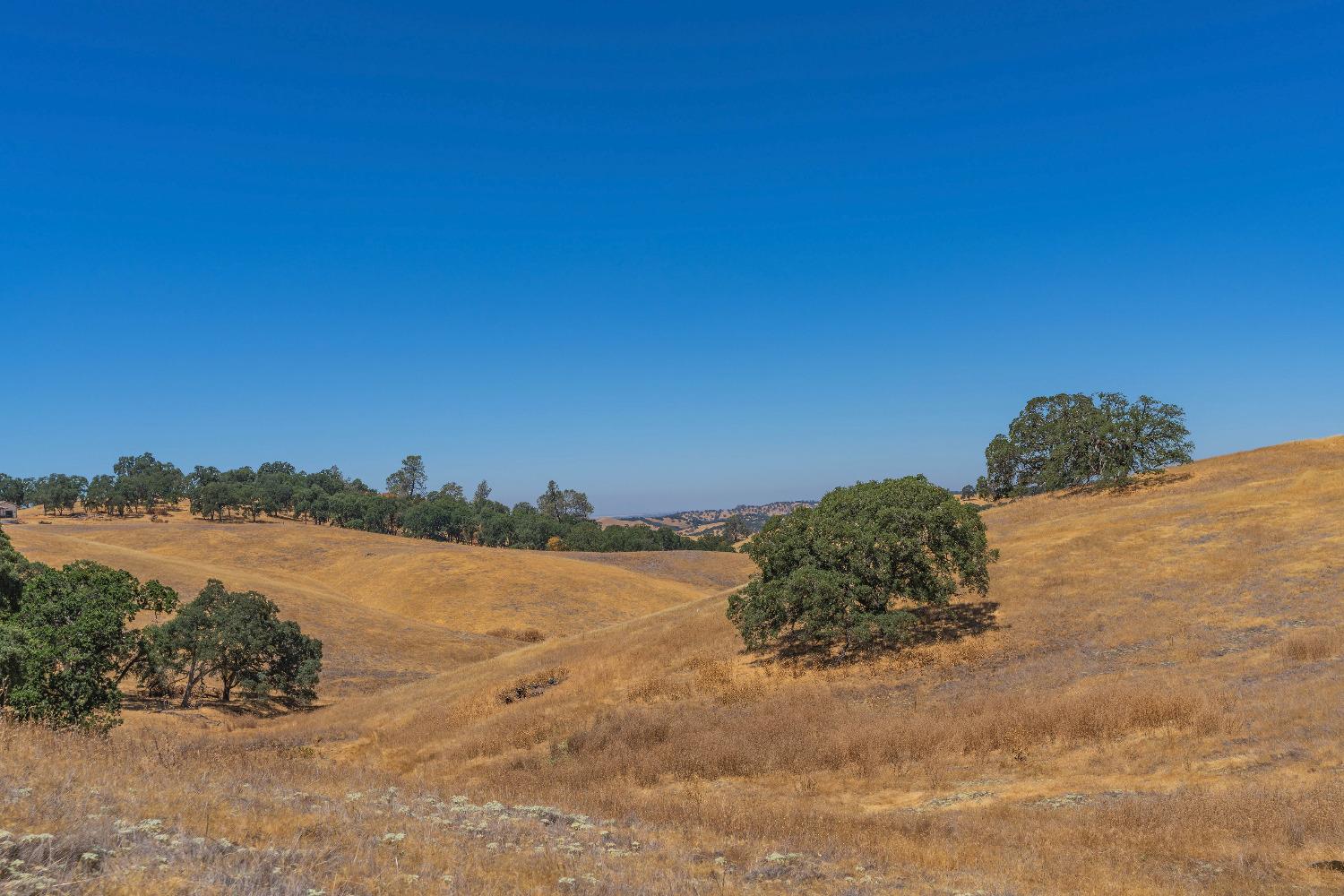 Turner Road, Amador City, California image 22