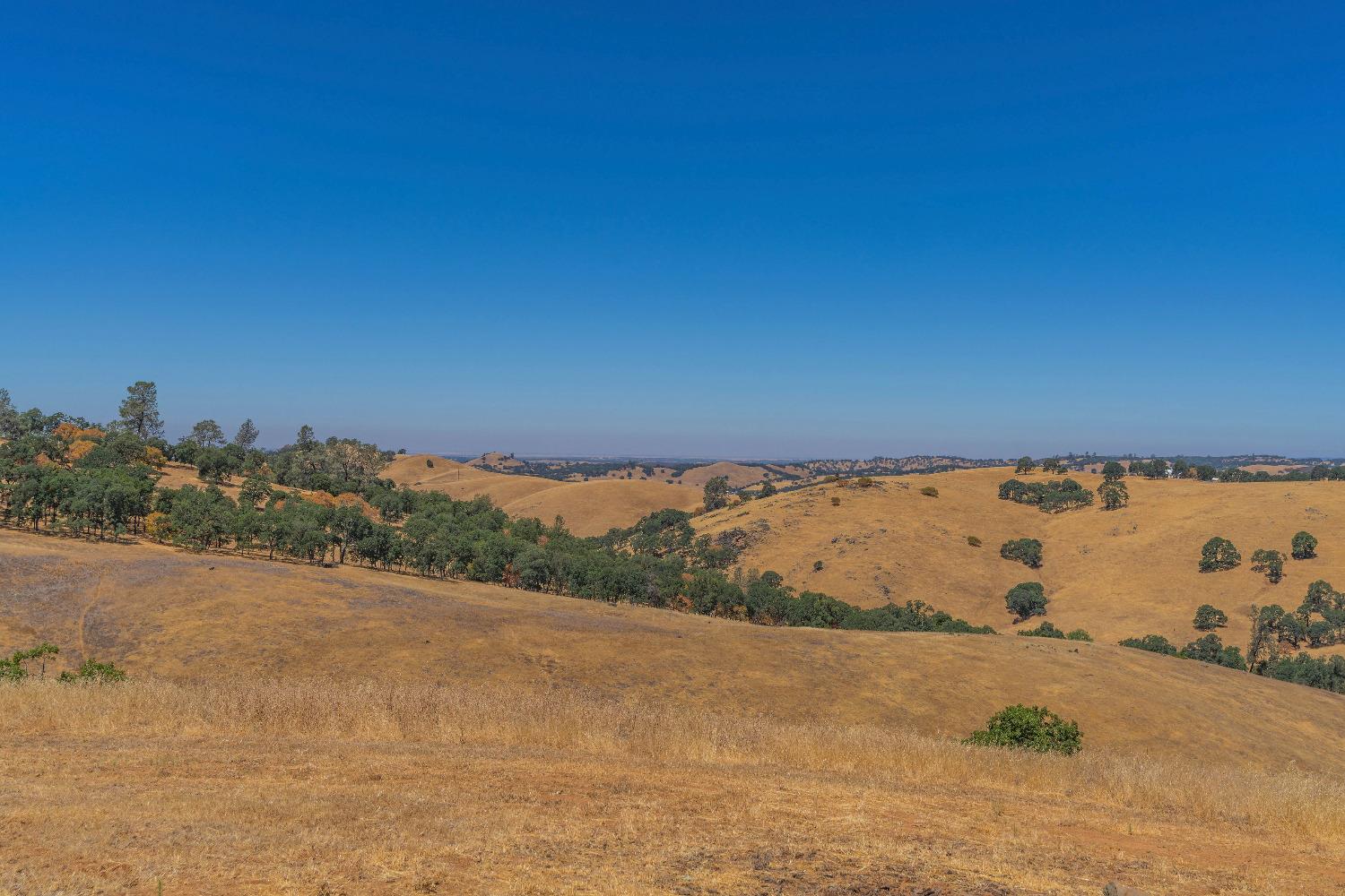 Turner Road, Amador City, California image 12