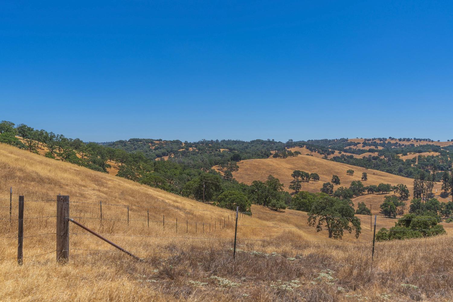 Turner Road, Amador City, California image 21