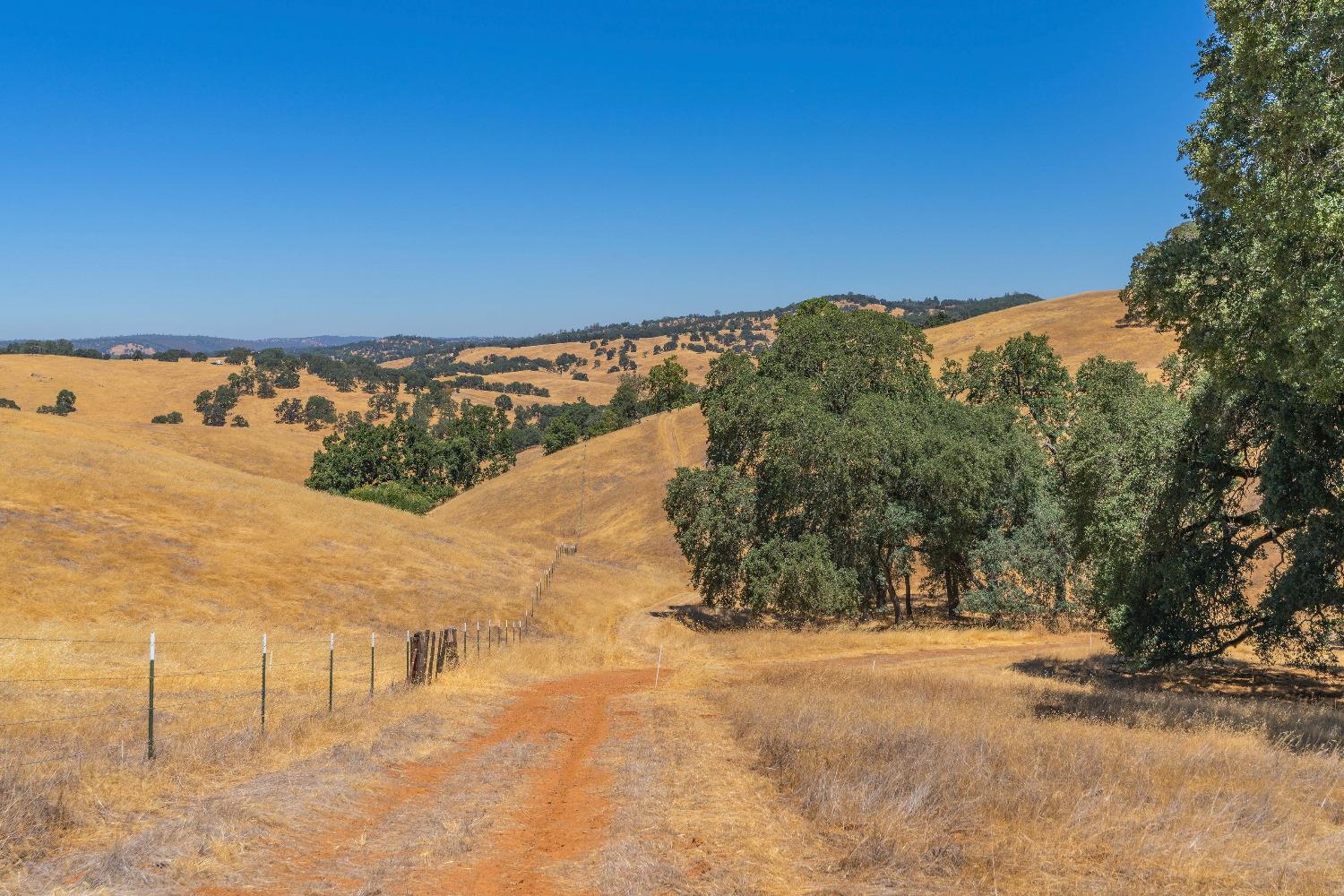 Turner Road, Amador City, California image 30