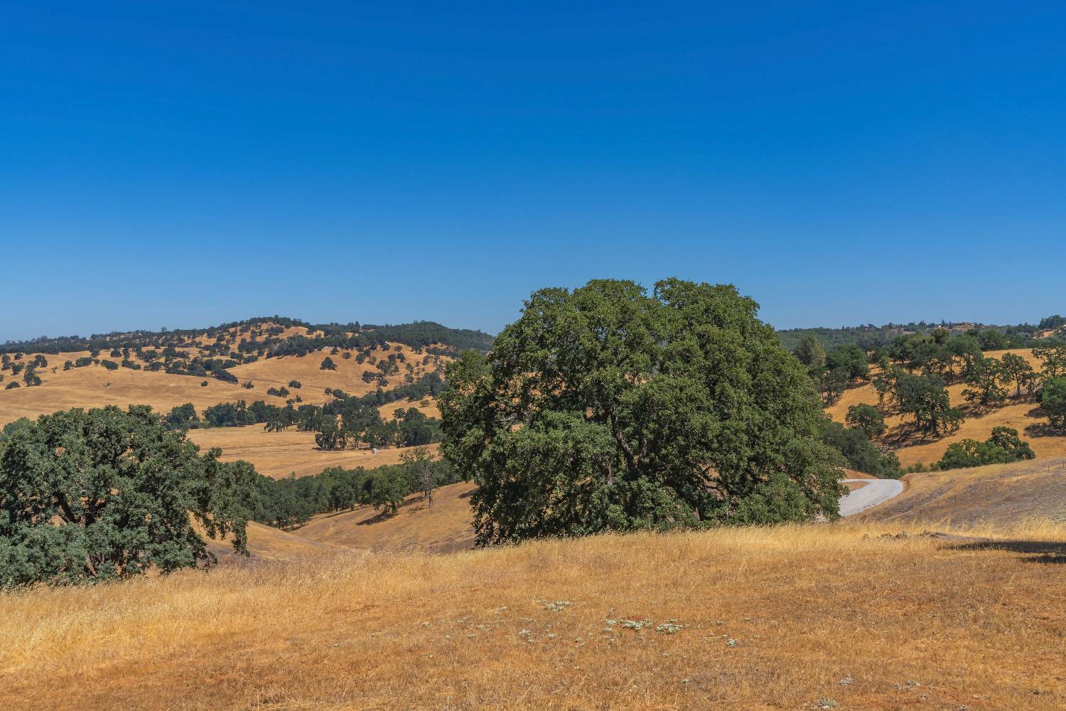 Turner Road, Amador City, California image 13