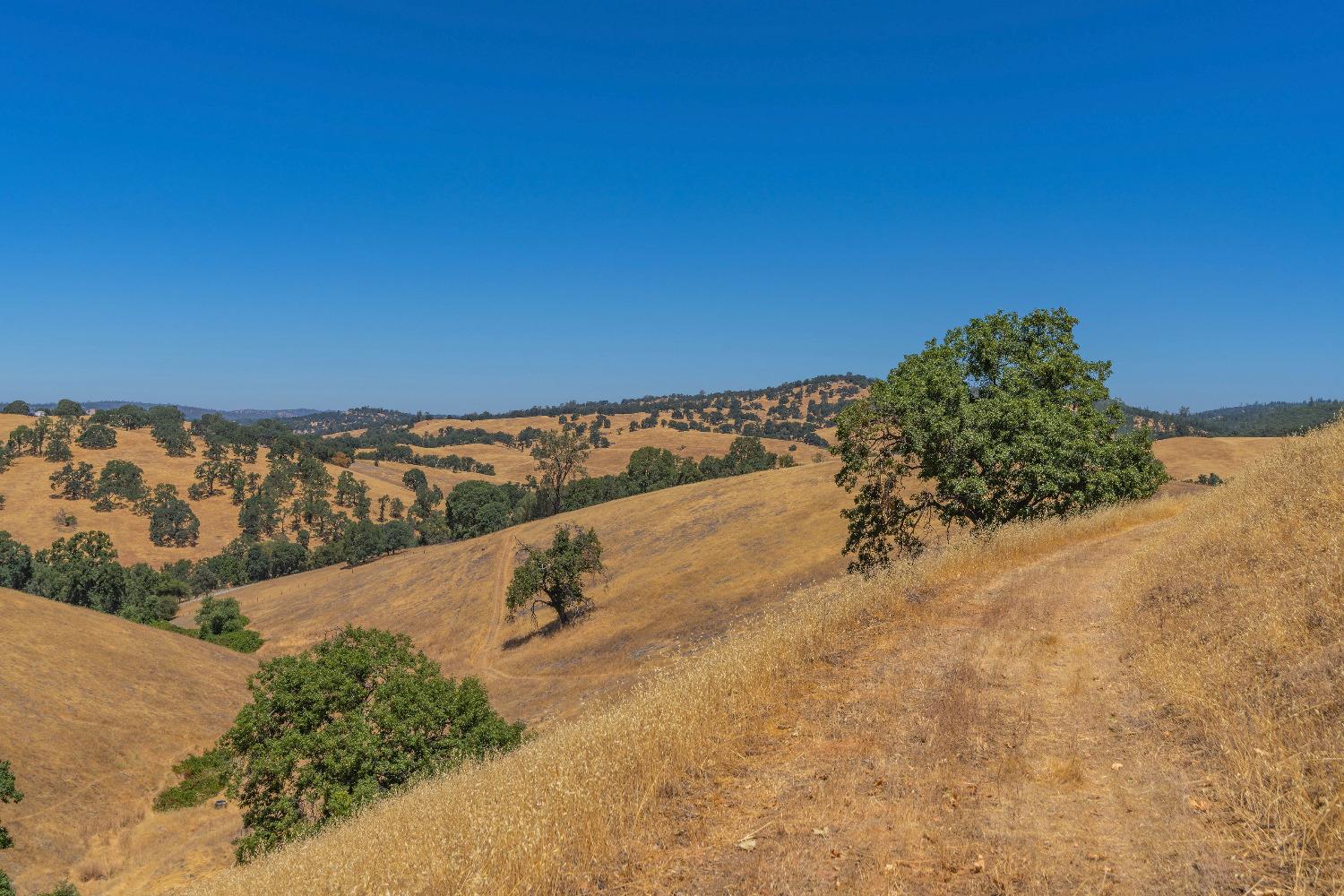 Turner Road, Amador City, California image 32