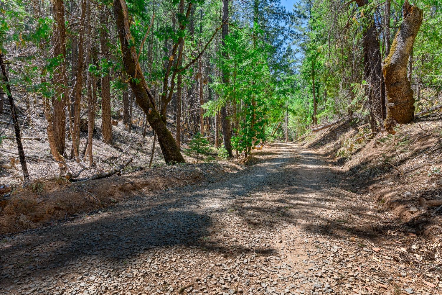 Campbell Loop, Grass Valley, California image 44