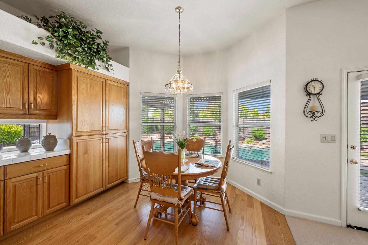 Trimotor Court, Fair Oaks, California image 17