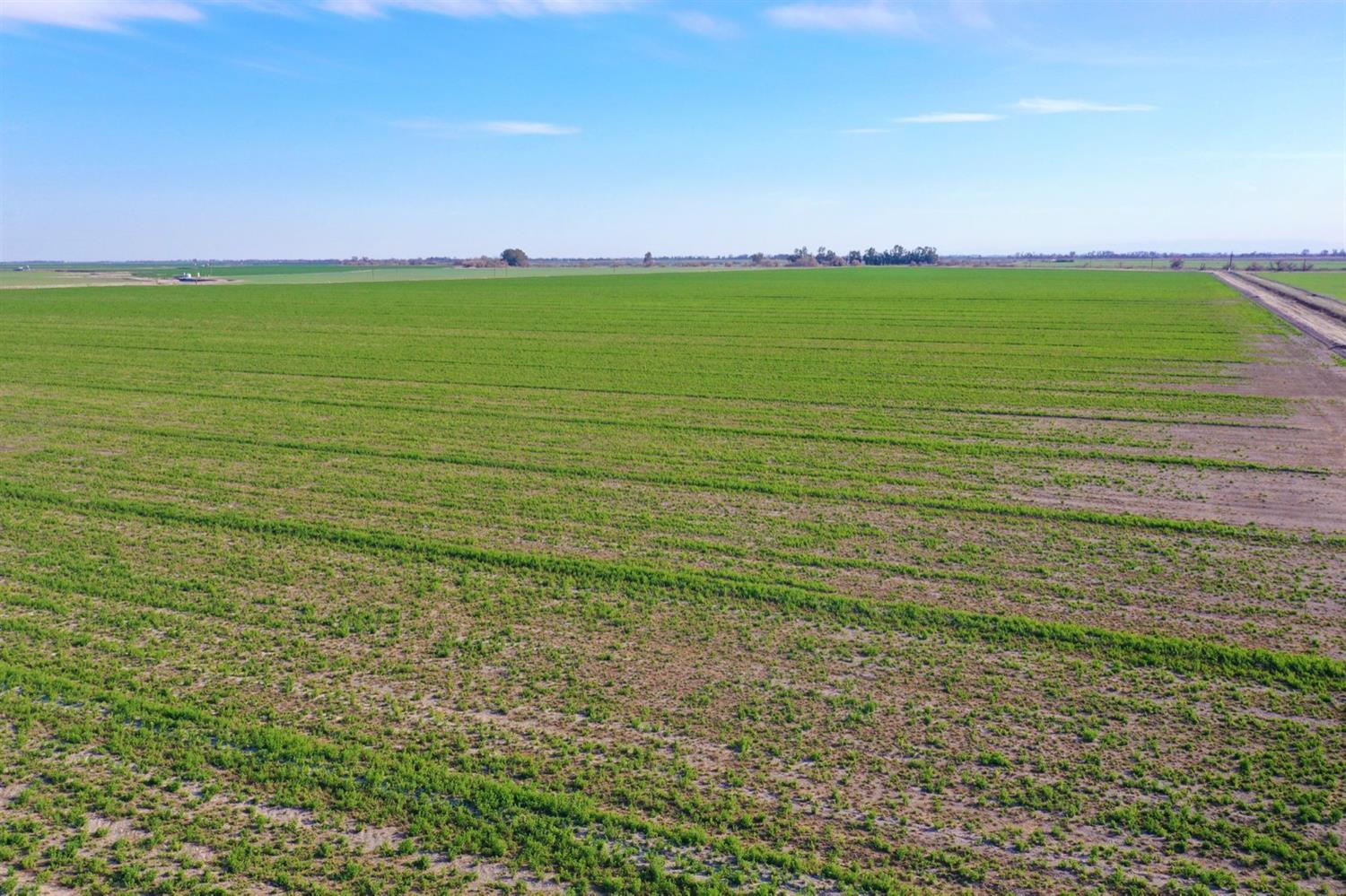 Chamberlain Road, Dos Palos, California image 9