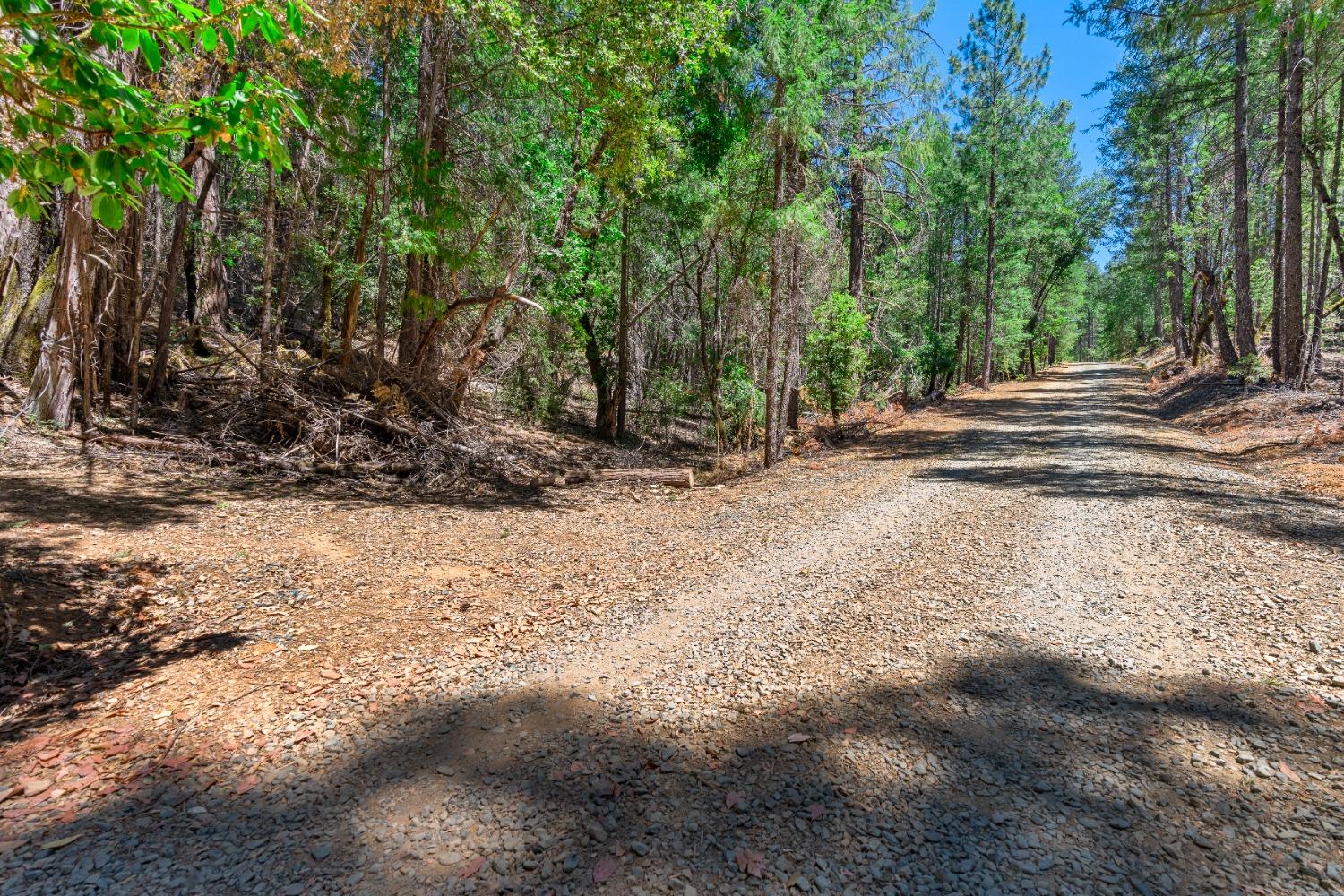 Campbell Loop, Grass Valley, California image 45