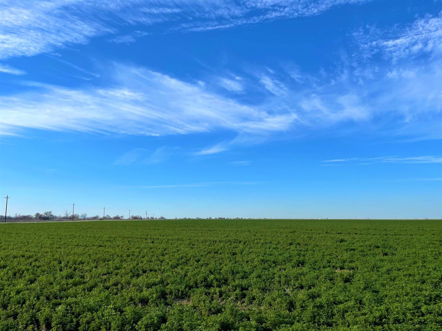 Chamberlain Road, Dos Palos, California image 5