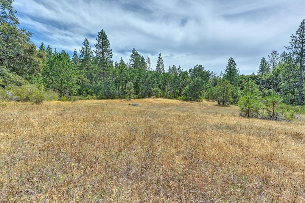 Jacobus Drive, Garden Valley, California image 2