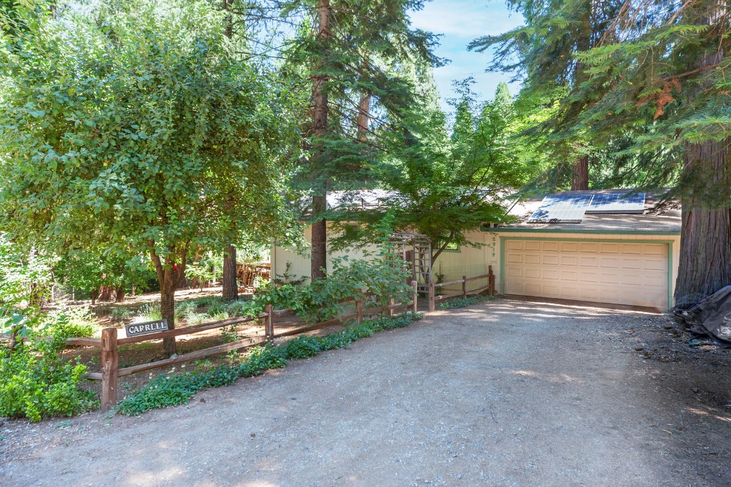 Photo of 2919 Piazza Ct in Pollock Pines, CA