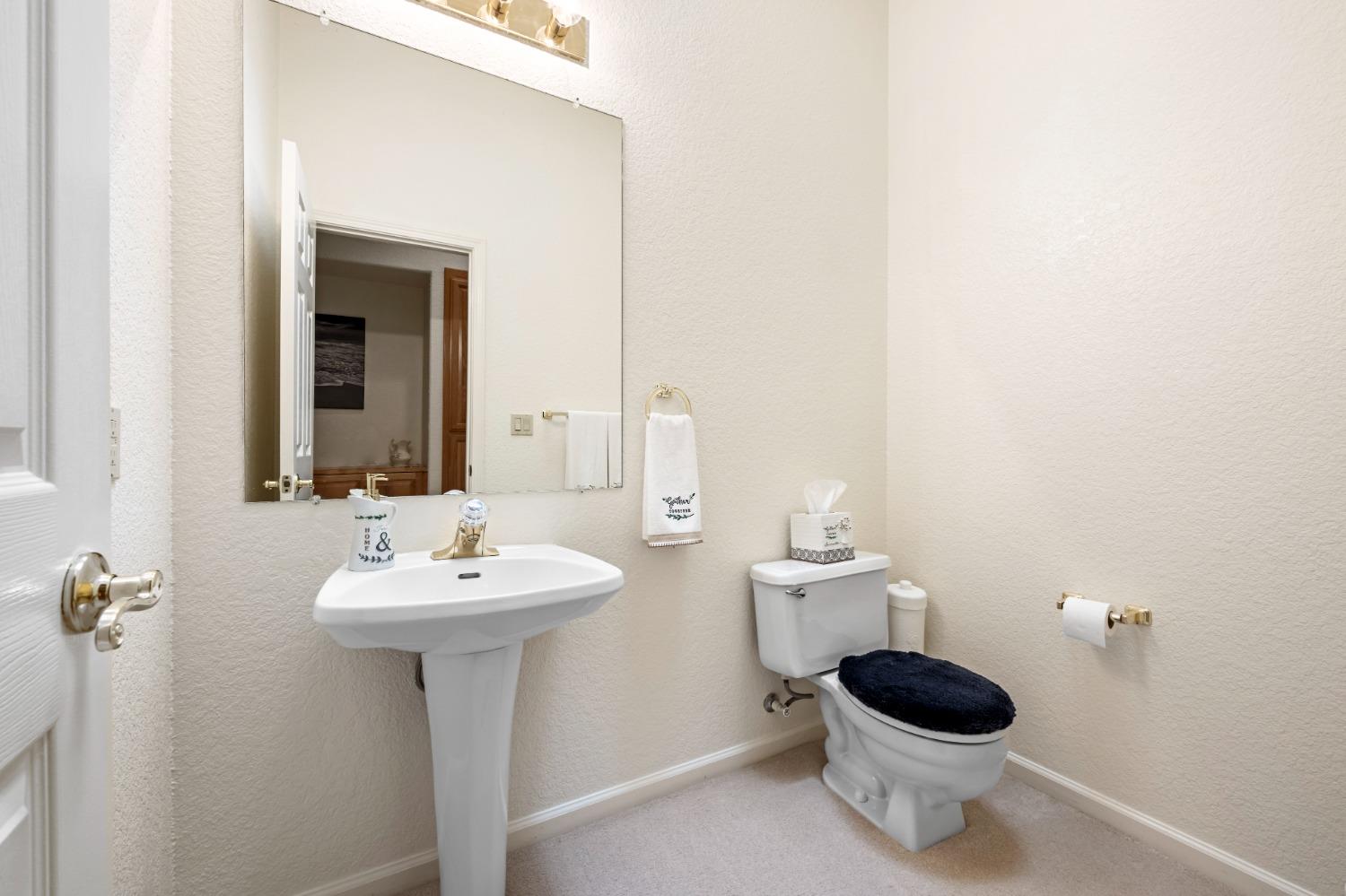 Trimotor Court, Fair Oaks, California image 31