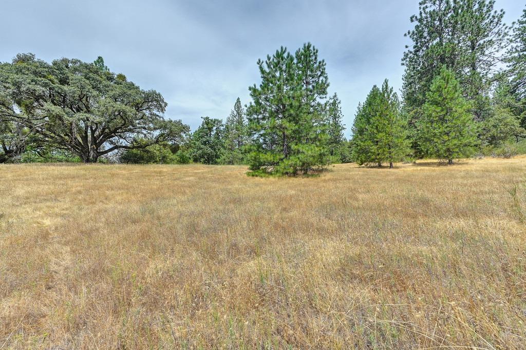 Jacobus Drive, Garden Valley, California image 1