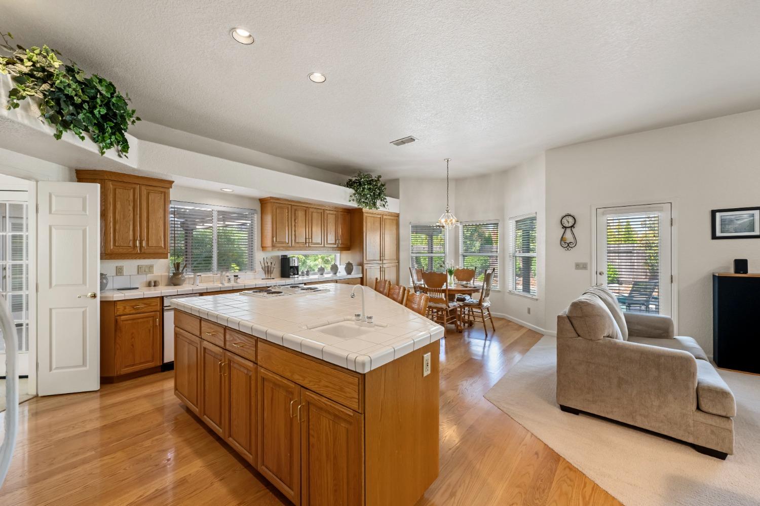 Trimotor Court, Fair Oaks, California image 14