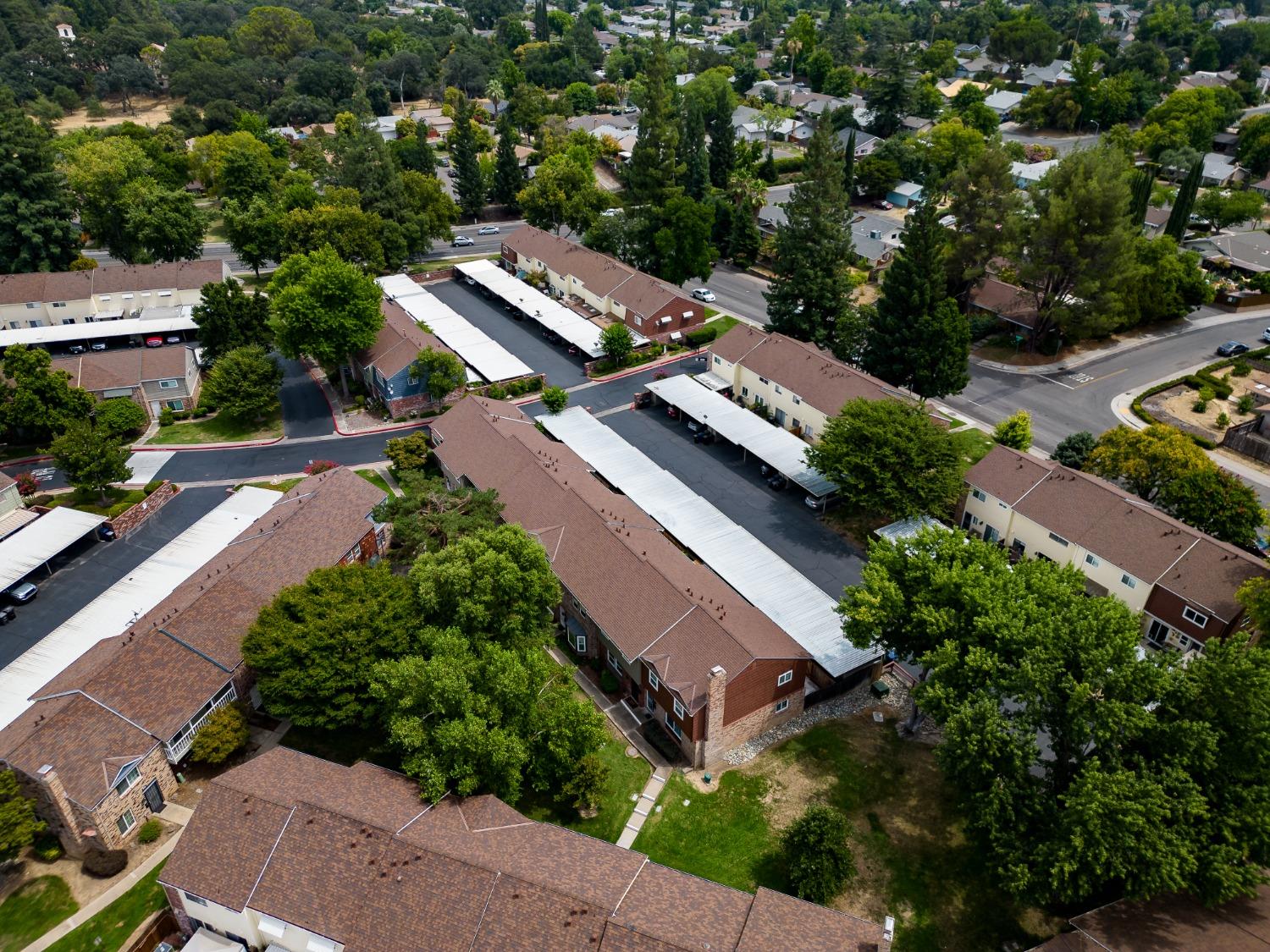 Photo #38: 223063716 Listing: Photo #38