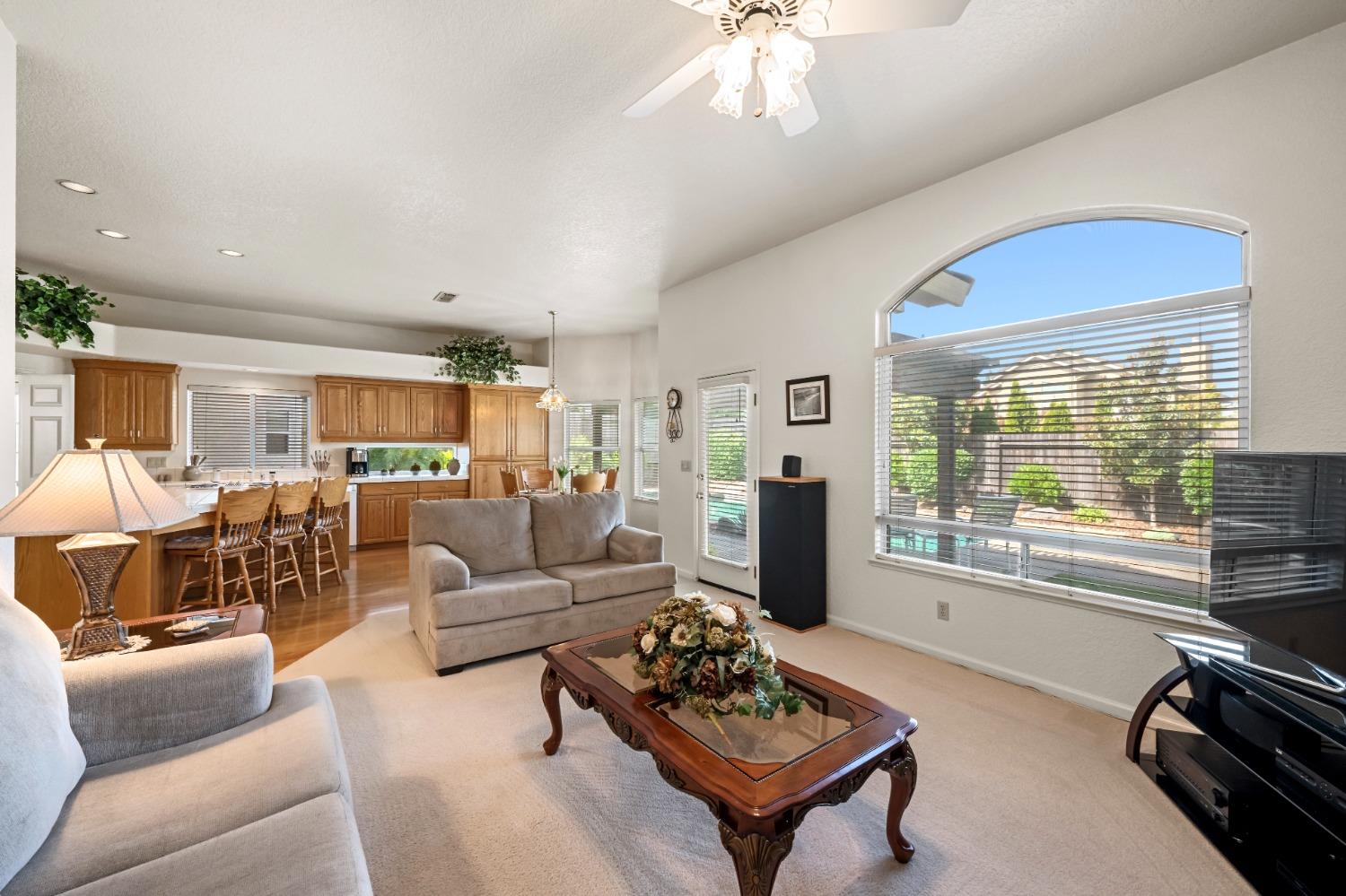 Trimotor Court, Fair Oaks, California image 19
