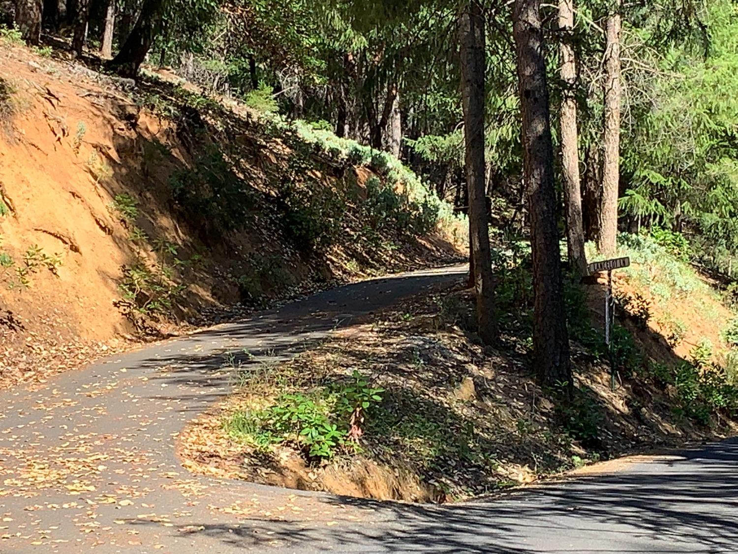 Lancelot Lane, Pioneer, California image 8