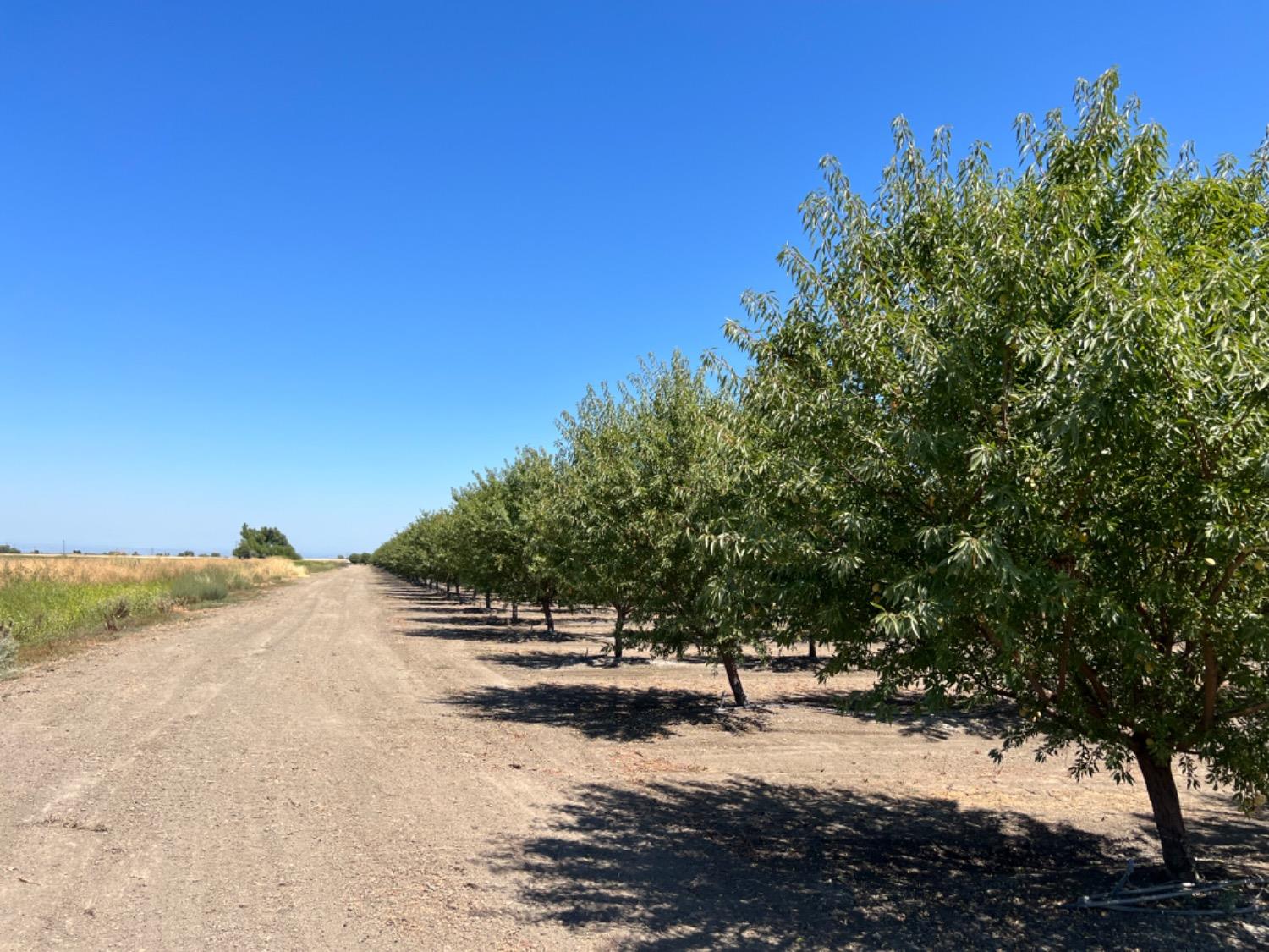 Striplin Road, Pleasant Grove, California image 10