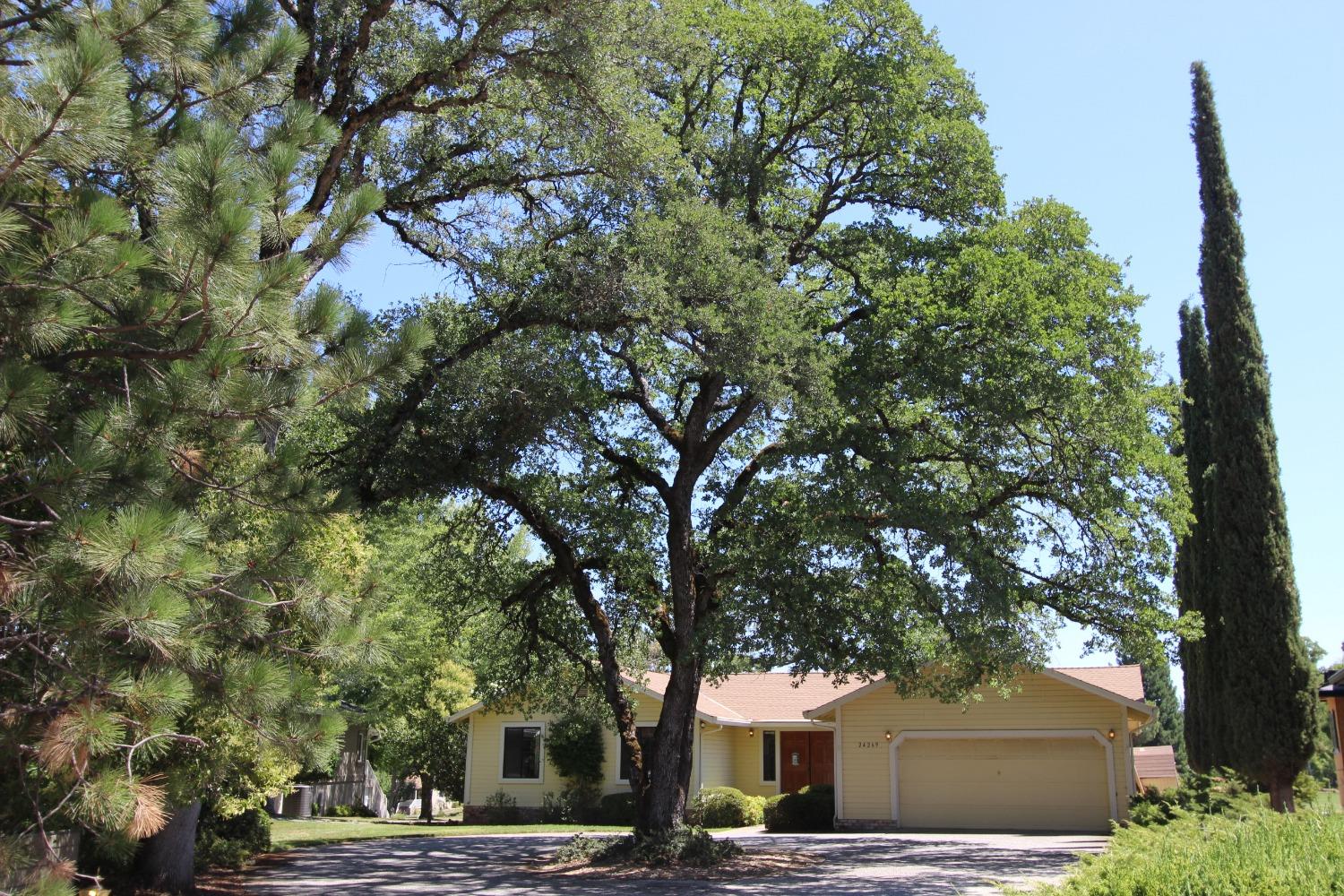 Photo of 24269 Oakmont Wy in Auburn, CA