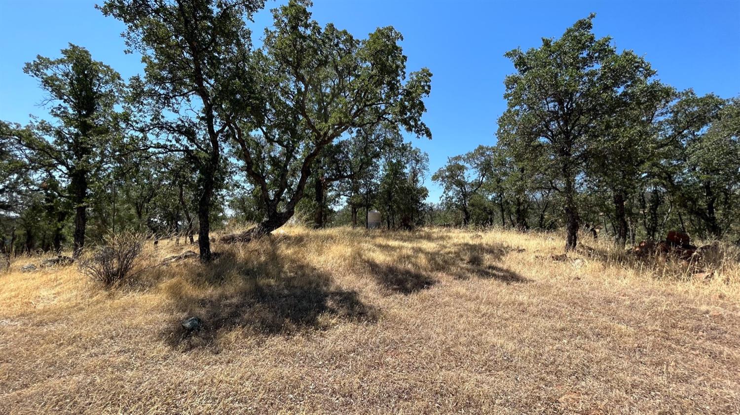 Hidden Acres Lane, Browns Valley, California image 18