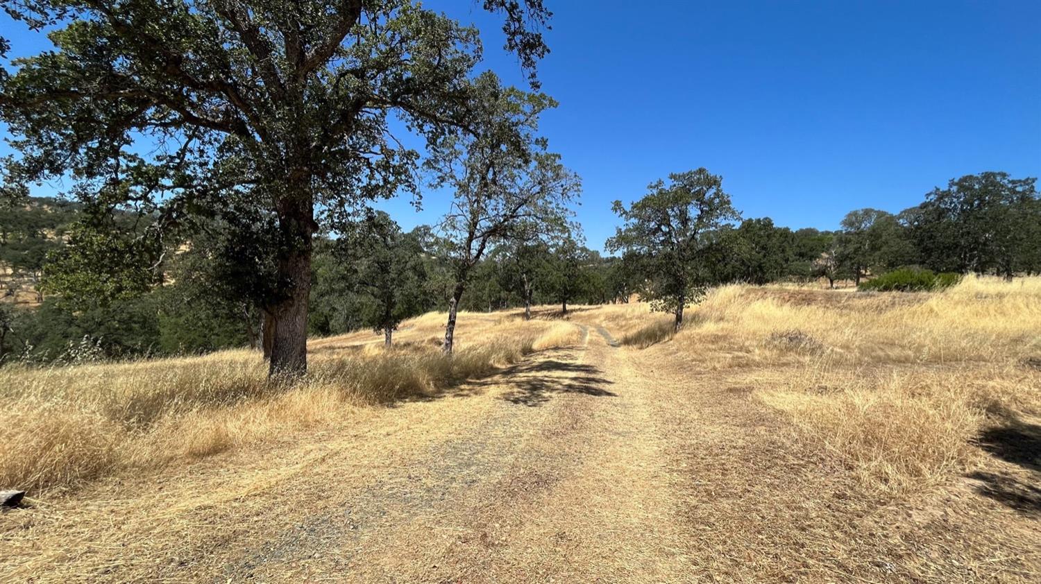 Hidden Acres Lane, Browns Valley, California image 6