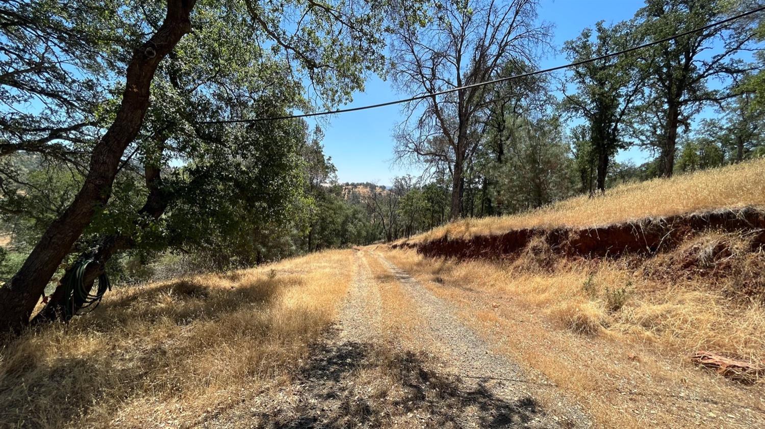 Hidden Acres Lane, Browns Valley, California image 14