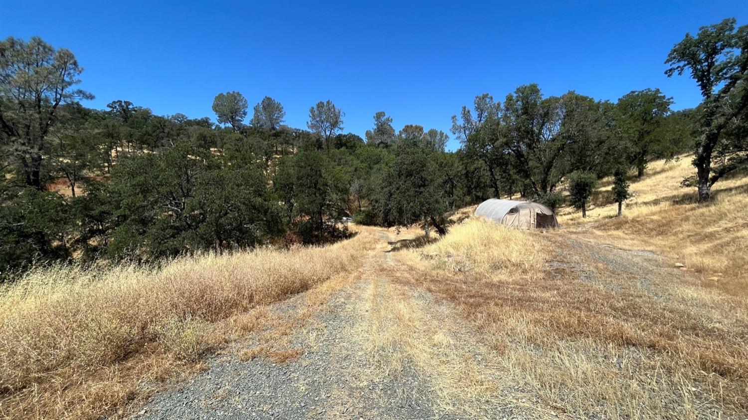 Hidden Acres Lane, Browns Valley, California image 8