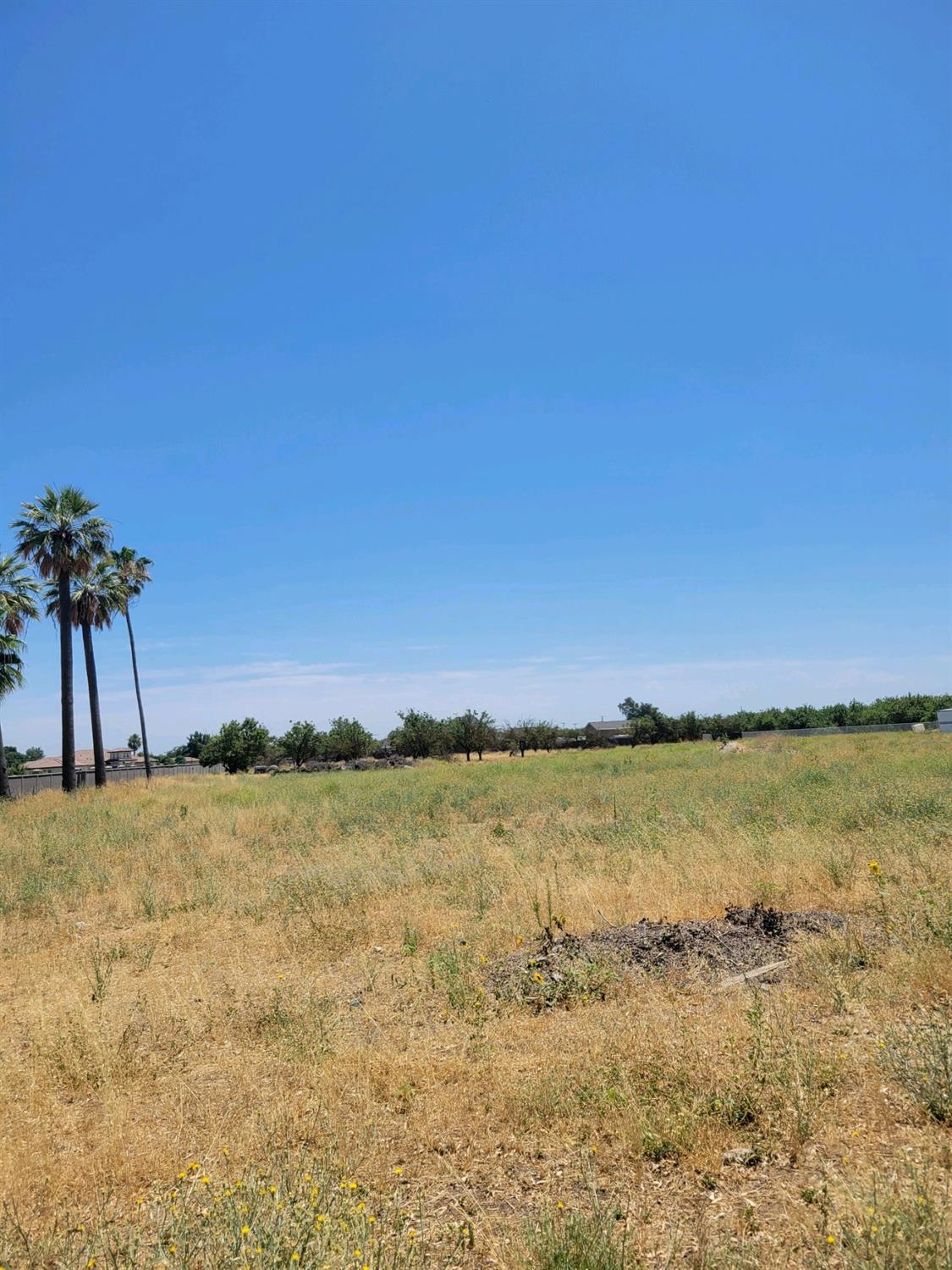 Palm Tree Ln, Manteca, California image 1