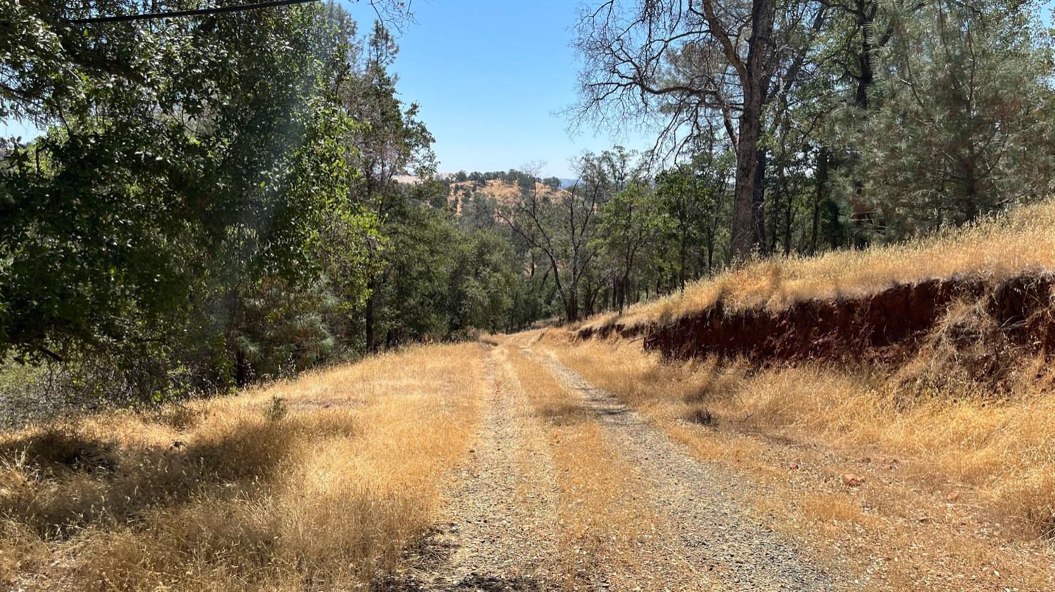 Hidden Acres Lane, Browns Valley, California image 13