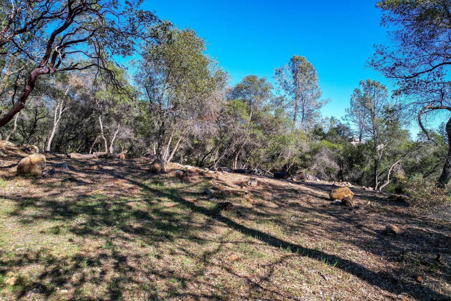 Long View Drive, Meadow Vista, California image 18