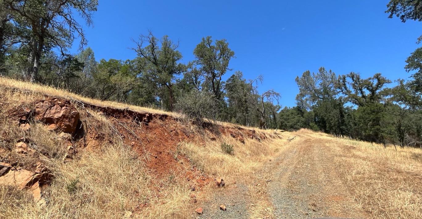 Hidden Acres Lane, Browns Valley, California image 11