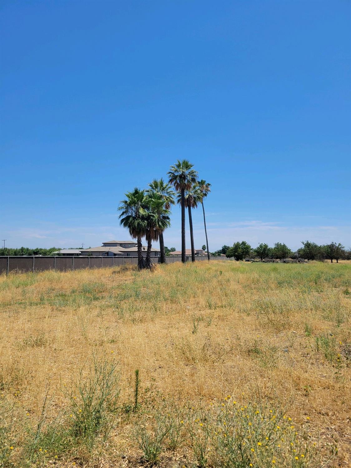 Palm Tree Ln, Manteca, California image 2