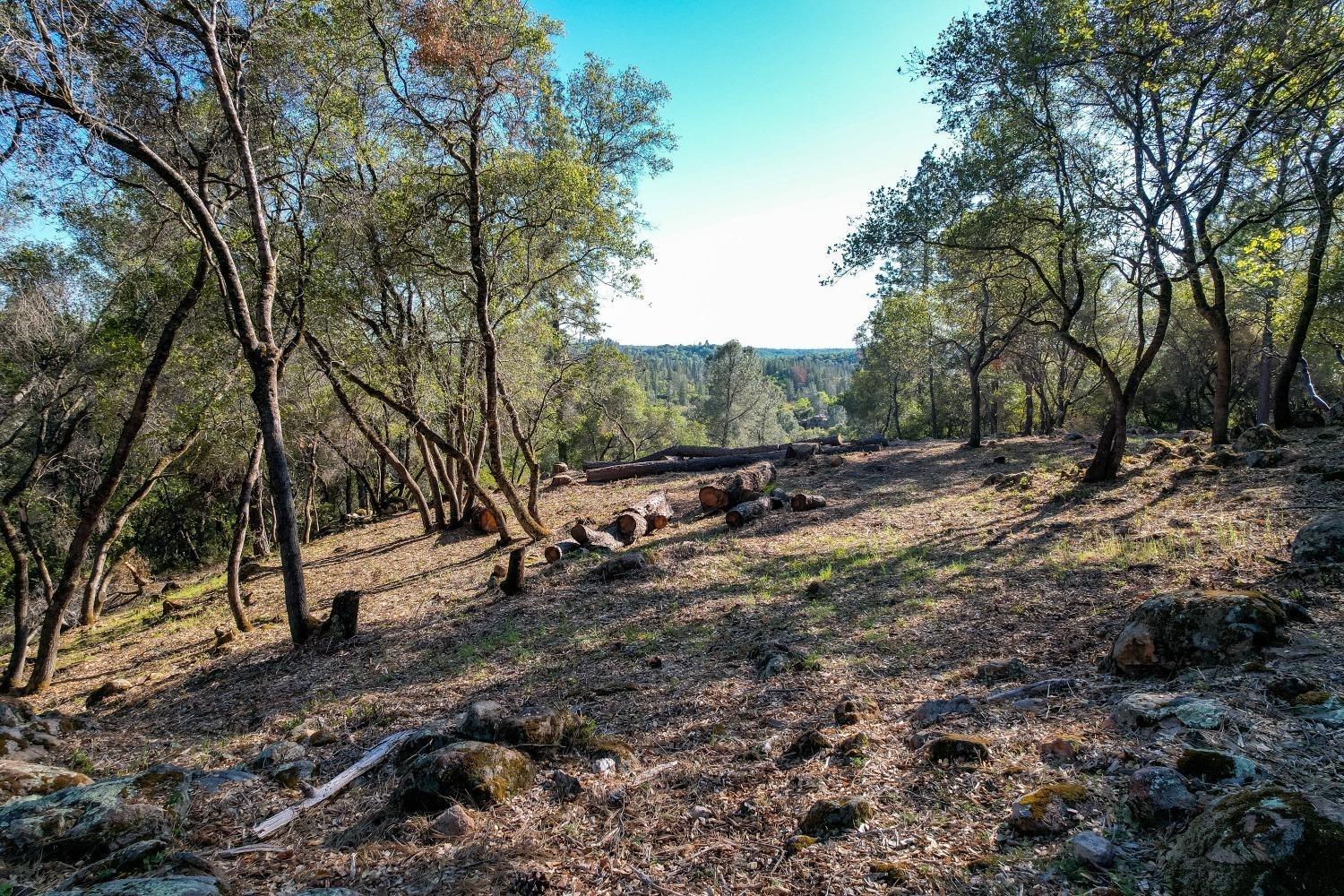 Long View Drive, Meadow Vista, California image 15