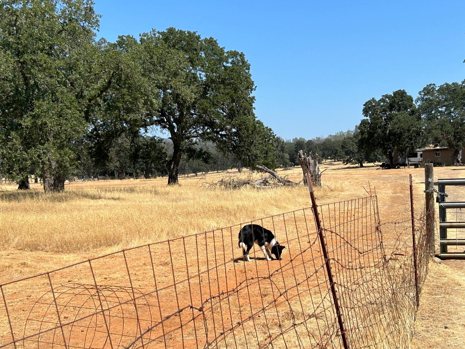 Detail Gallery Image 16 of 28 For 0 Dunstone Rd, Oroville,  CA 95966 - – Beds | – Baths