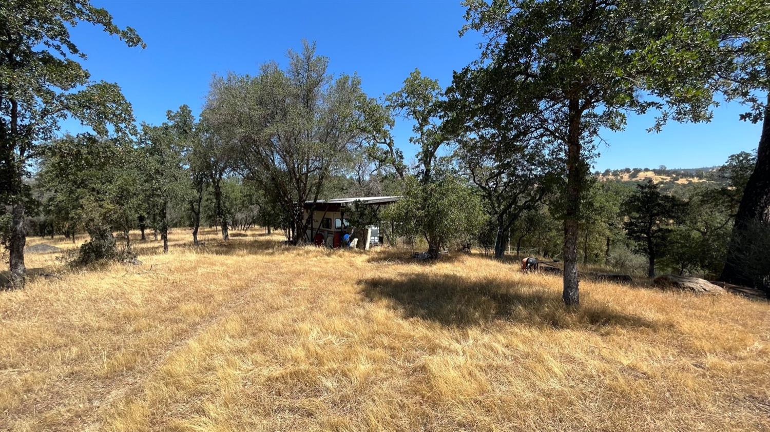 Hidden Acres Lane, Browns Valley, California image 19