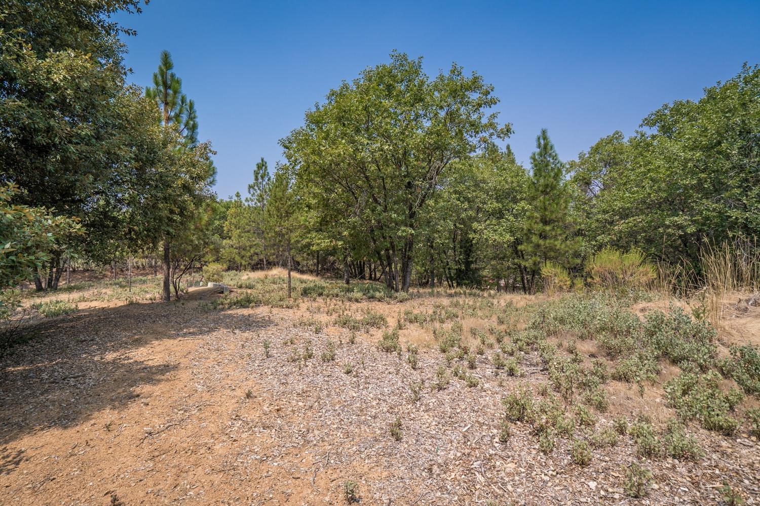 Deerborne Court, Colfax, California image 14