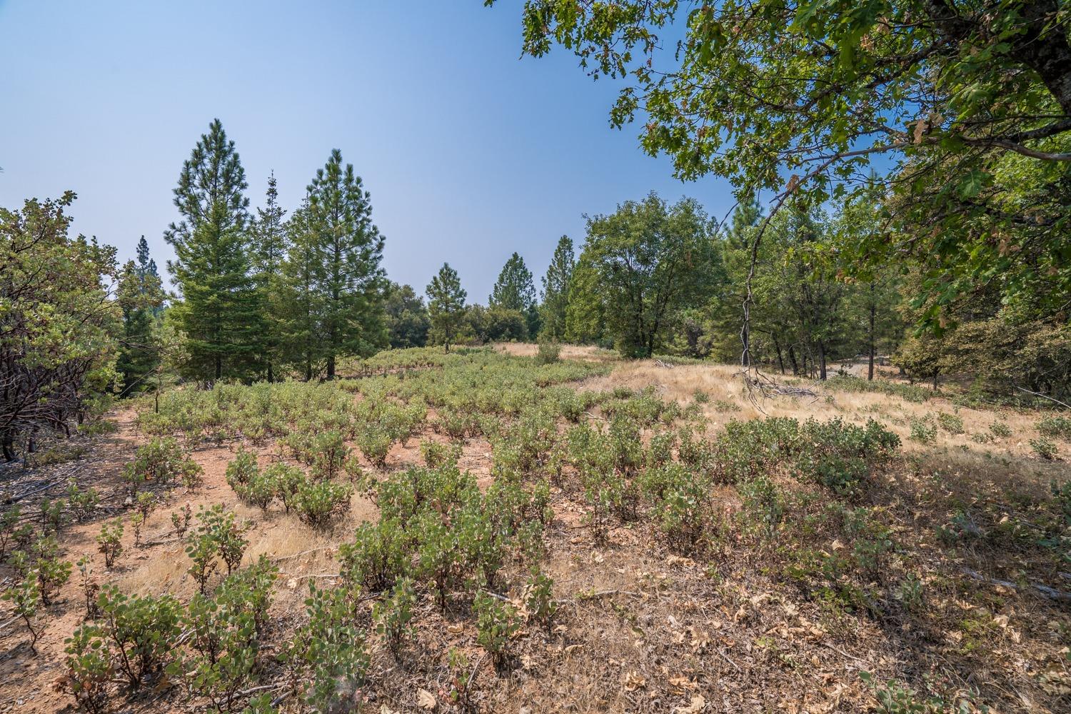 Deerborne Court, Colfax, California image 9