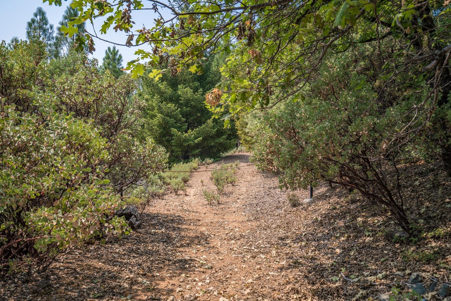 Deerborne Court, Colfax, California image 7