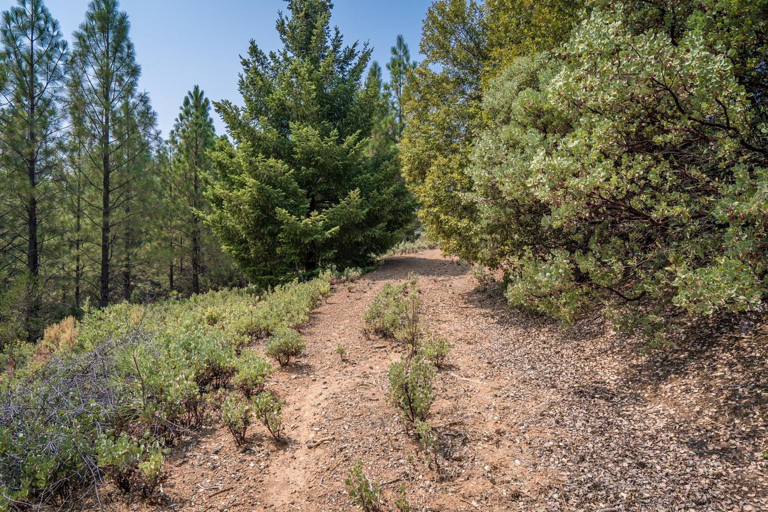 Deerborne Court, Colfax, California image 8