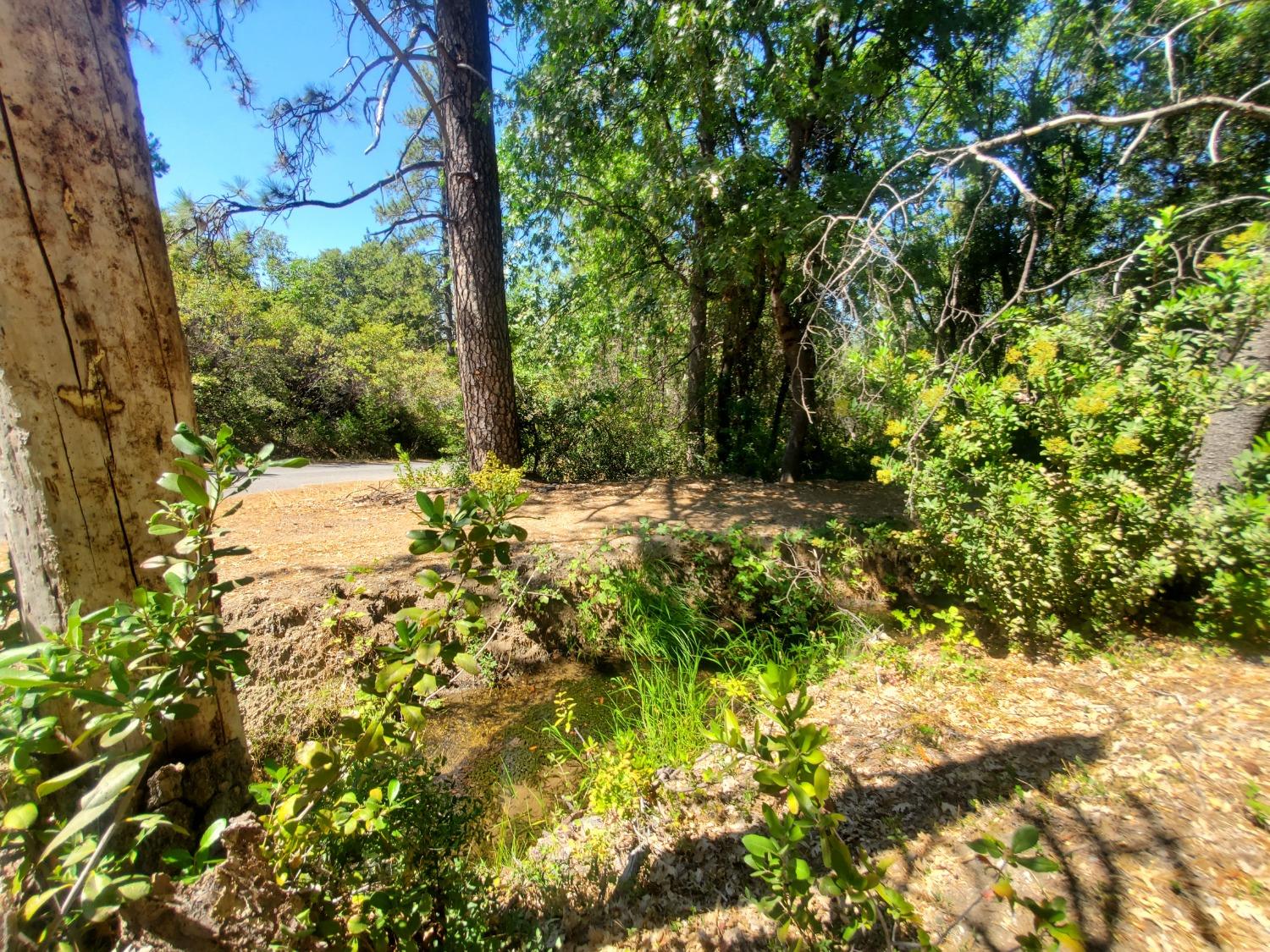 Photo of 0000 Big Oak Rd in Placerville, CA