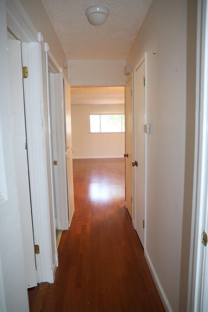 Photo #14: 223075804 Listing: Photo #14