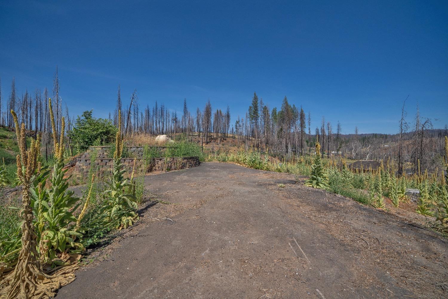 Merrywood Court, Grizzly Flats, California image 18