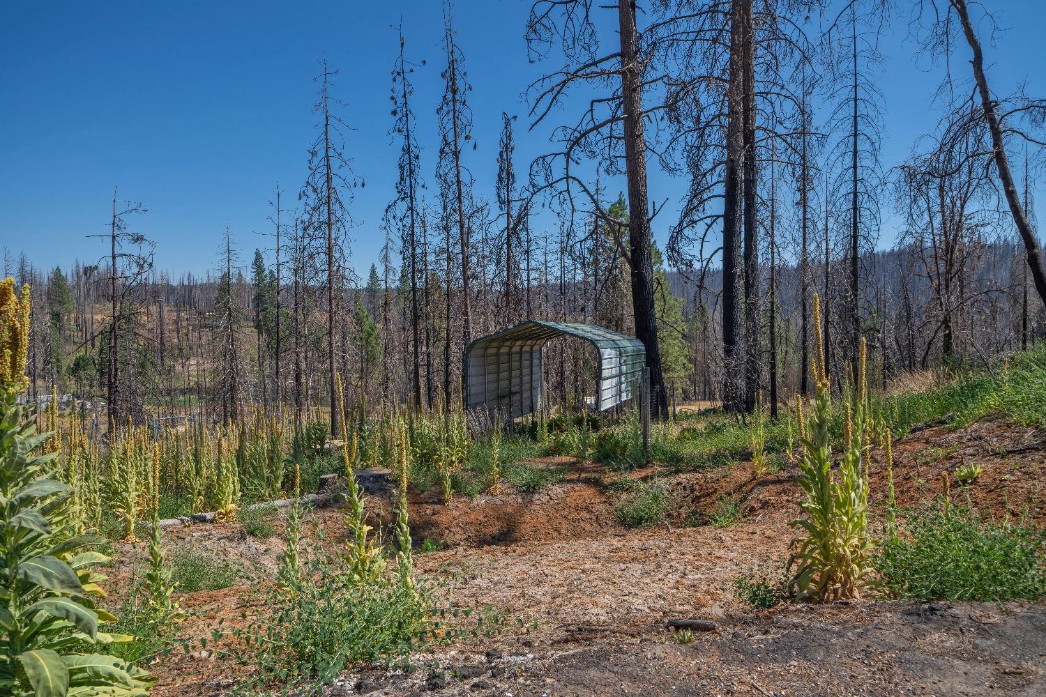 Merrywood Court, Grizzly Flats, California image 8