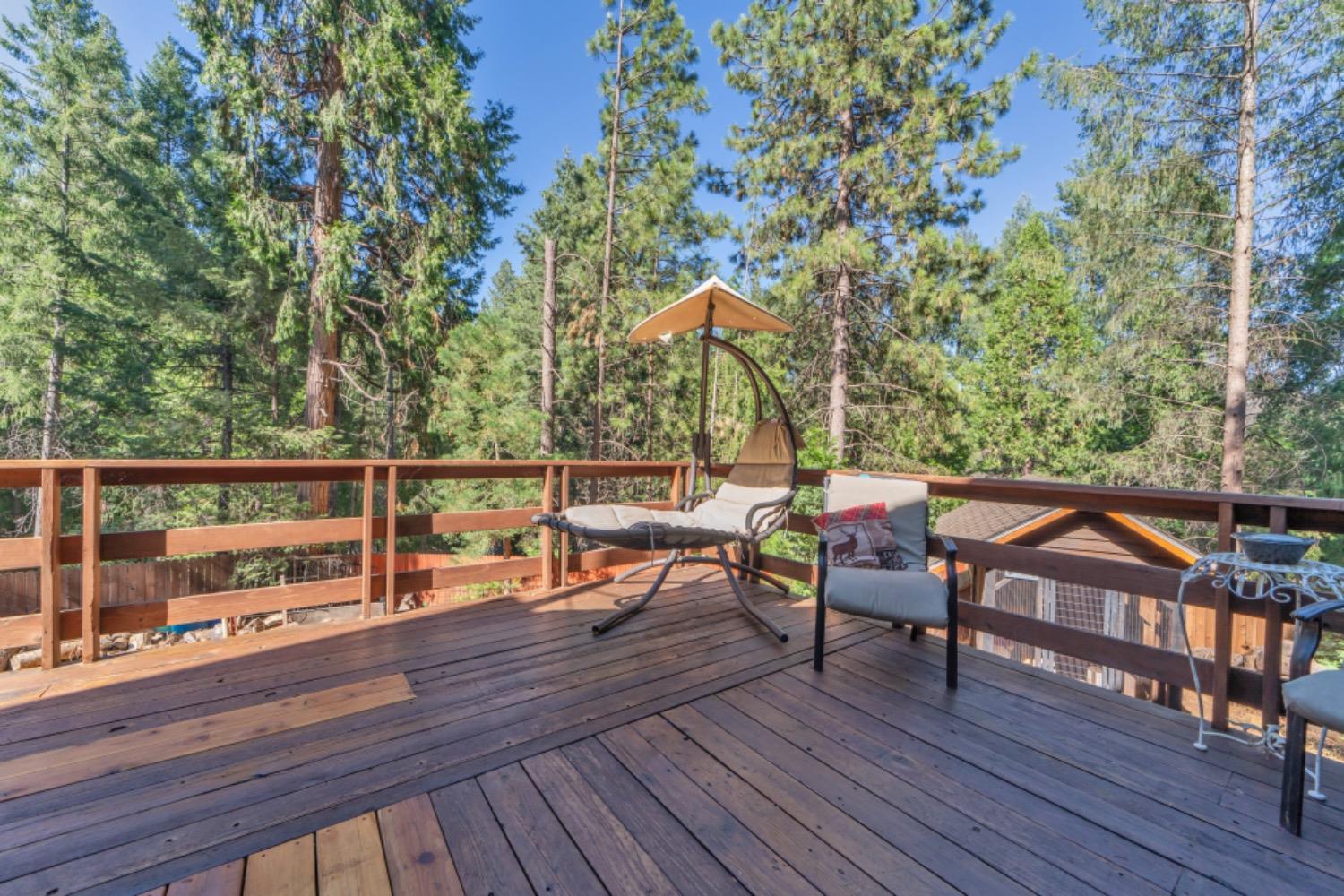 Buckhorn Road, Pollock Pines, California image 9