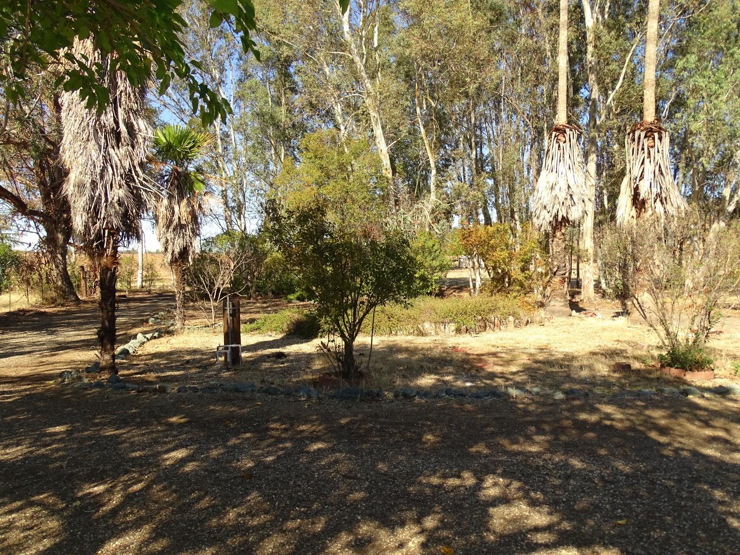 Eastman Lane, Oroville, California image 3